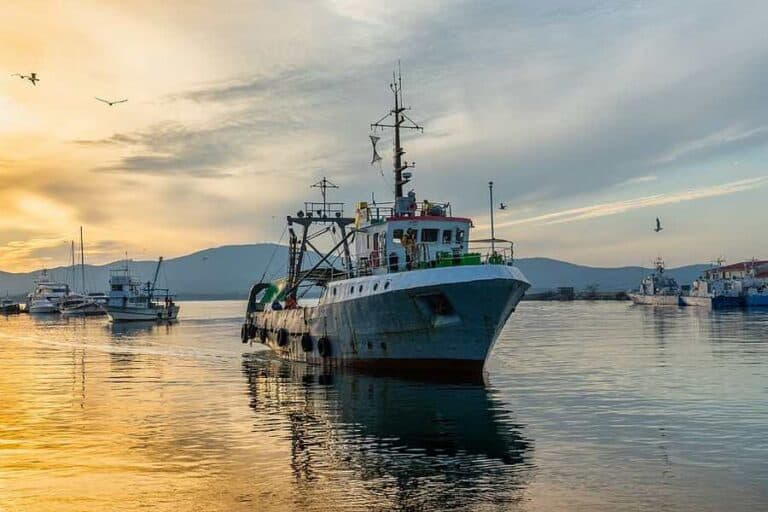 Hervey Bay Fishing Charters Chartered Fishing Trips