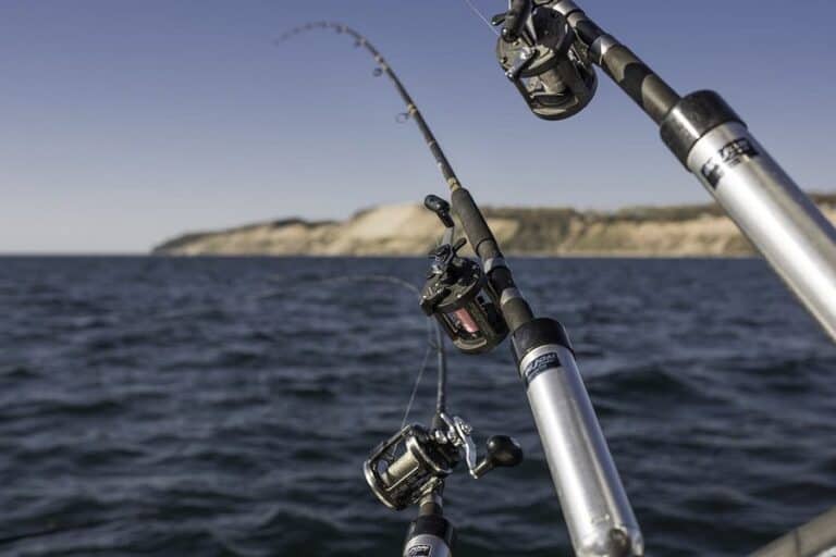 MV Princess II Fishing Charters Hervey Bay