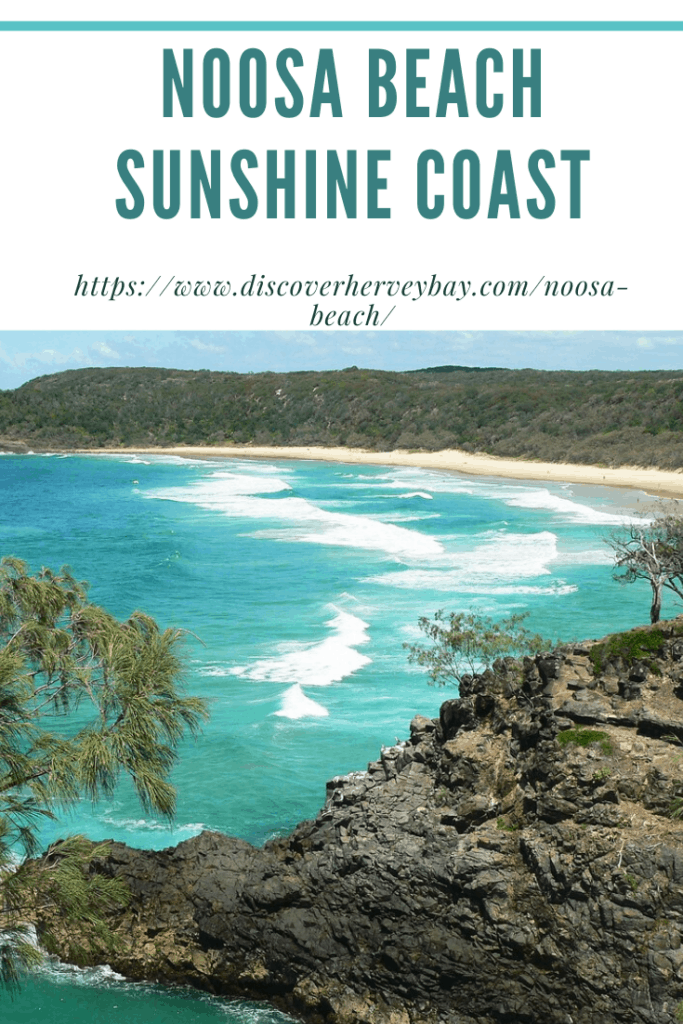 Noosa Beach Queensland Everyone Should Visit!