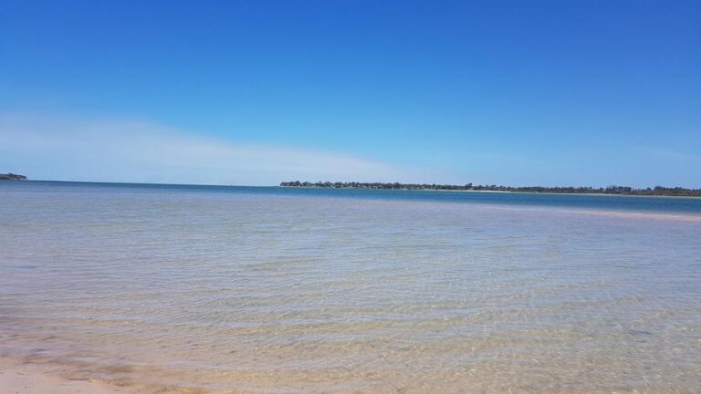 Is Woodgate Beach Dog Friendly?