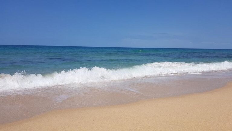 Is Woodgate Beach Dog Friendly?